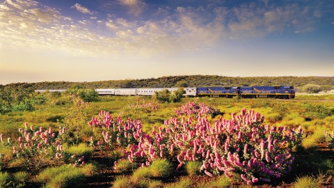 Indian Pacific: Perth-Sydney (4 days/3 nights)